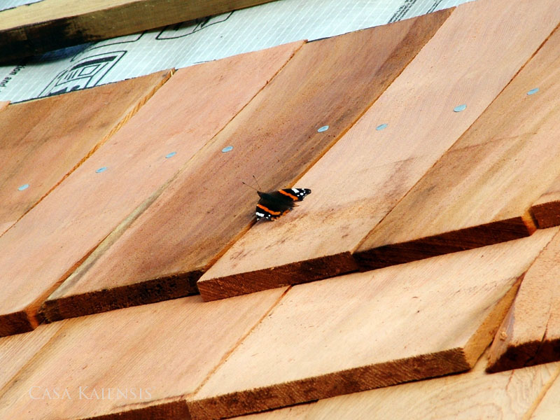 Casa Kaiensis Unikat Villa Winkelschief Schindeln