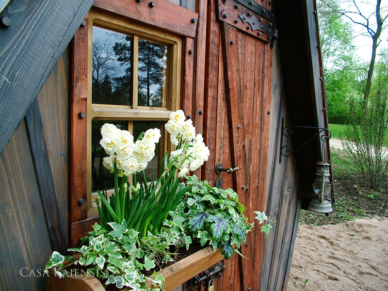 Casa Kaiensis Einzelstück Karlsson