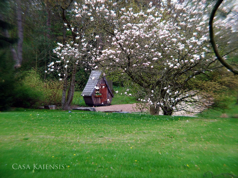Casa Kaiensis Einzelstück Karlsson Kurpark Bad Pyrmont
