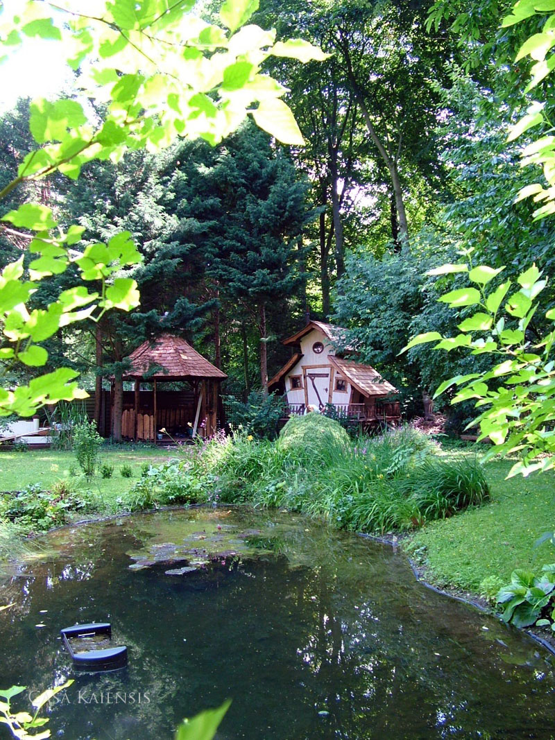 Casa Kaiensis Einzelstück Cpt'n Teague Teich